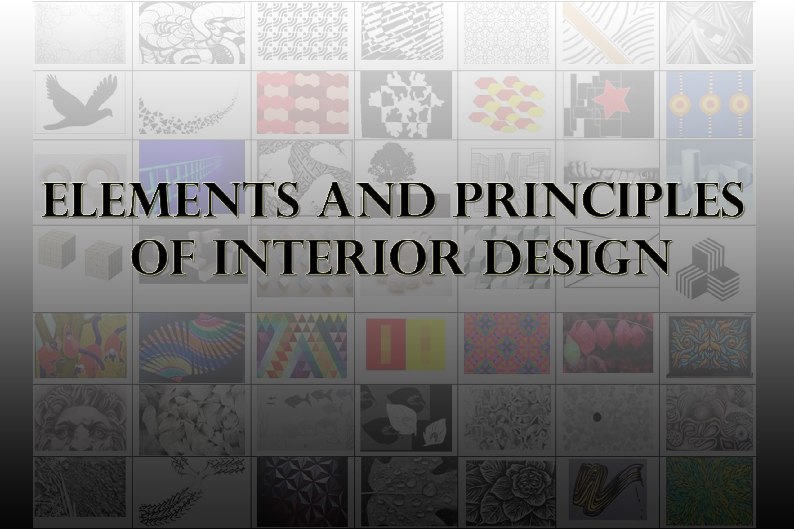 Elements and Principles of Interior Design